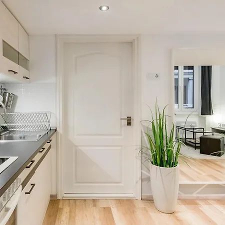 Redesigned Loft In Historic Building דירה *